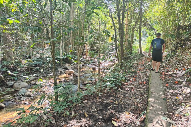 16 Lines Zipline, Cave, Hiking & Biausevu Waterfall Combo Tour - Hiking 2.5 kilometers to Biausevu Waterfall
