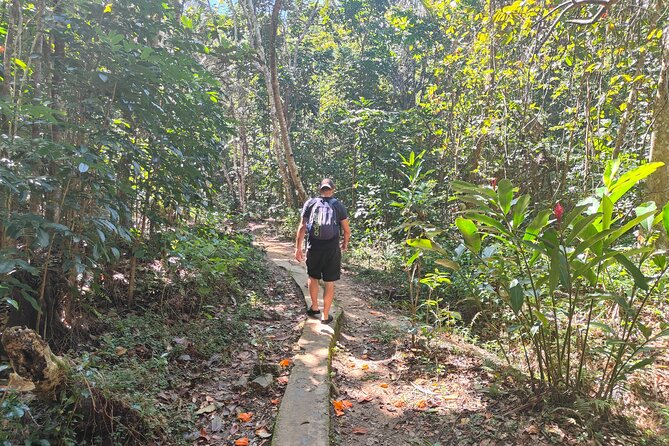 16 Lines Zipline, Cave, Hiking & Biausevu Waterfall Combo Tour - The cave question deserves attention