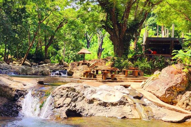 6 Hours Giant Zipline Adventure Park in Fiji - The jungle setting is the real bonus