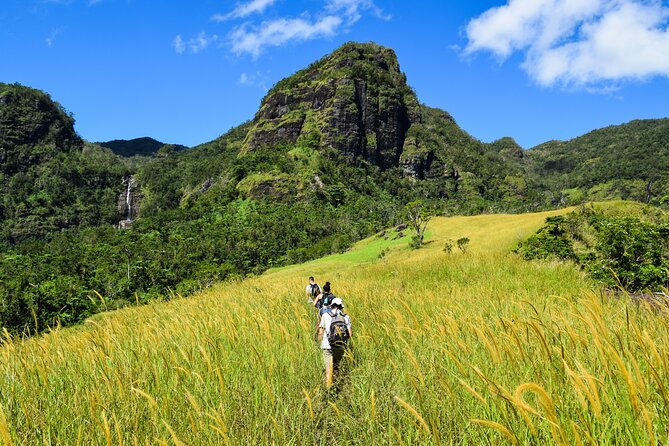 ATV Quad Bike Adventure Tour Inc Hot Springs & Mud Pool (Departs Nadi) - Who should book this Nadi excursion?