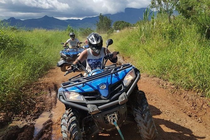 ATV Quad Bike and Zip Line Adventure Tour (Departs Nadi) - The physical side of the zip-line course
