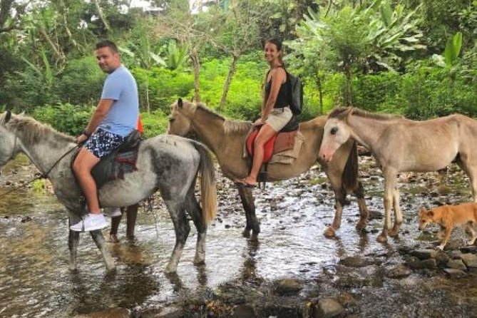 Authentic Fijian Day Tour - A private route from Nadi into village life