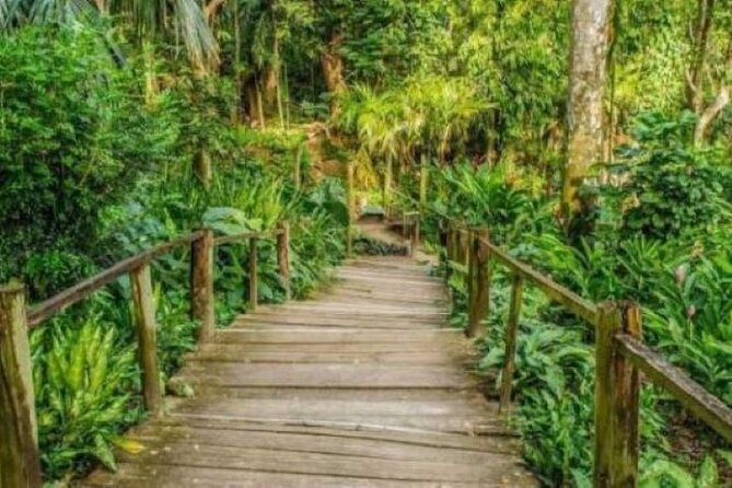 Best of Fiji Tours: 3 Days Package - Should you book the Best of Fiji Tours package?