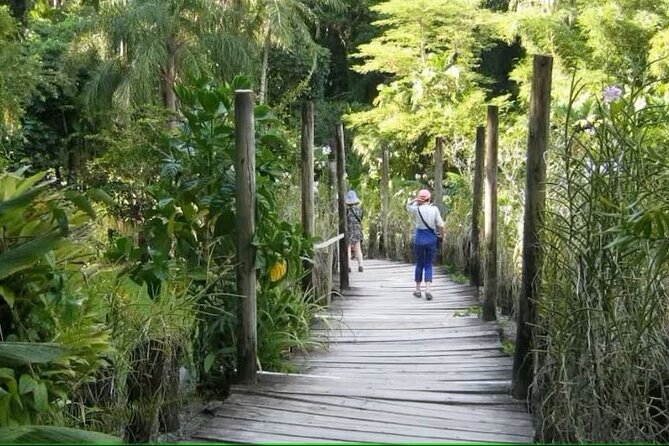 Best of Nadi Highlights - Namaka Market and a taste of local produce