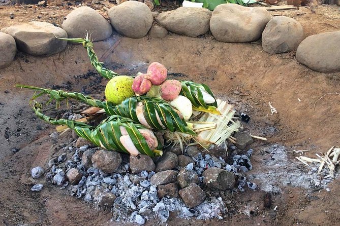 Biausevu Waterfall Tour (Sigatoka) - Walking through the rainforest to Sava Nu Mate Laya