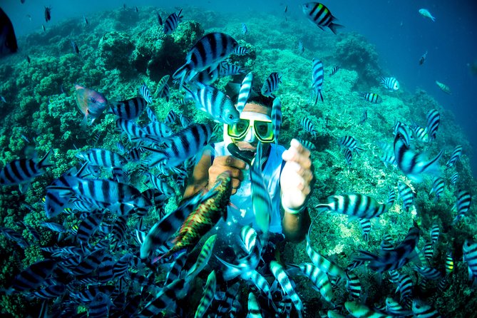 Blue Lagoon Cruises - Wanderer Cruise - 4 Night - Who will enjoy this cruise most