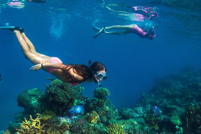 Capt Cook Cruises Super Saver Combo: Day Sail + Dinner Cruise - Food and drinks during the island day