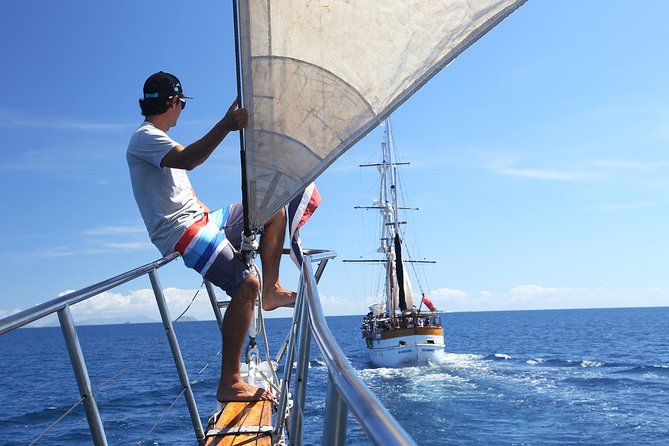 Capt Cook Cruises Super Saver Combo: Day Sail + Dinner Cruise - The three-hour sunset dinner cruise