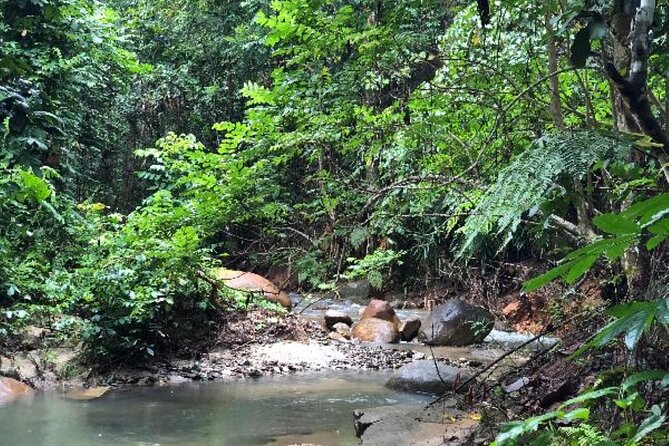 ''Coral Coast Adventure: Biausevu Waterfall & Natadola Beach !'' - How demanding is the day?