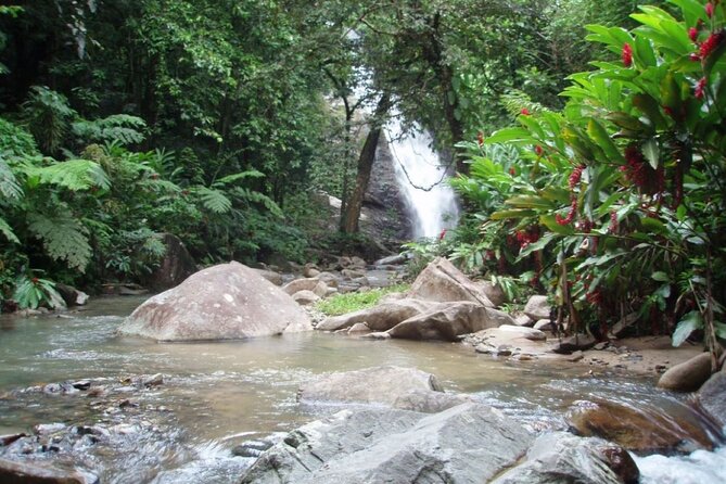 ''Coral Coast Adventure: Biausevu Waterfall & Natadola Beach !'' - Weather, cancellation, and planning details