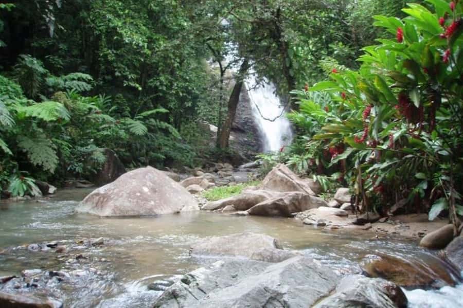 Coral Coast Adventure: Biausevu Waterfall & Natadola Beach - Who should book this tour?