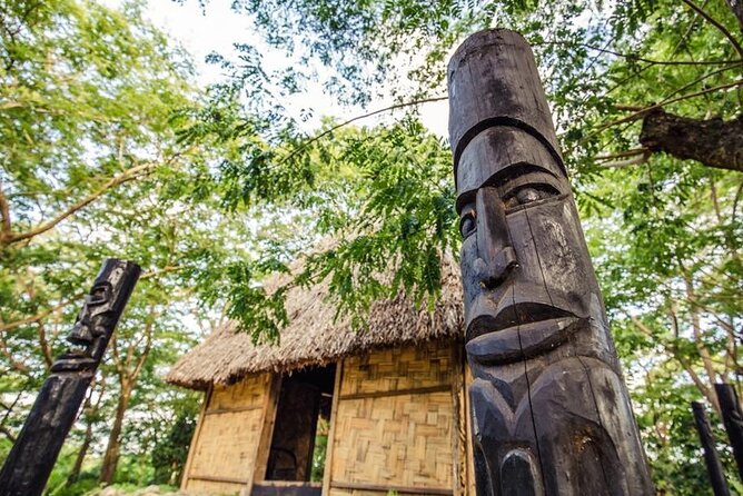 Cultural Day Tour - Fijian lunch at 12:30