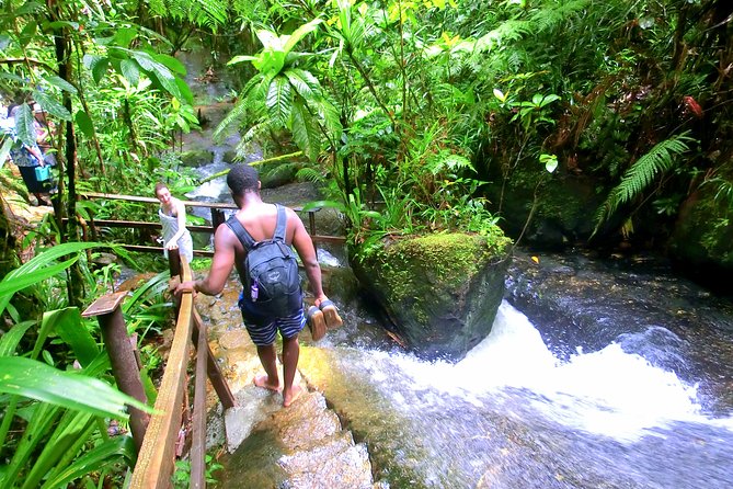 Customized Suva day tour - What this flexible Suva tour is really offering