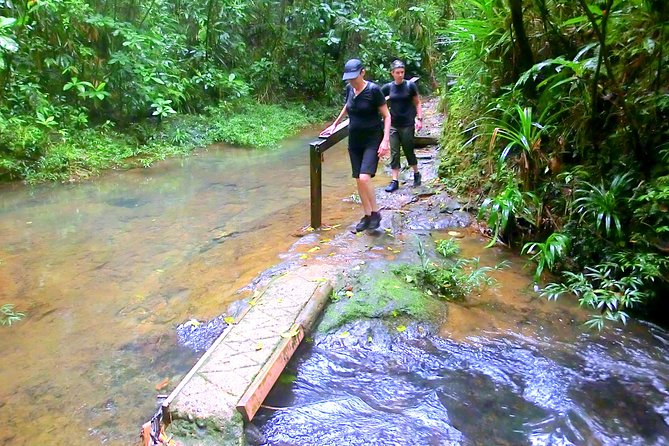 Customized Suva day tour - Private or shared: the detail that can change the experience