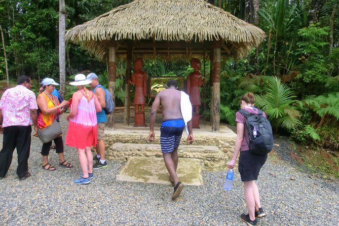 Customized Suva day tour - Guides, vehicles, and the practical side of the day