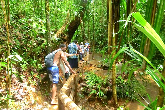 Customized Suva day tour - Rain, safety, and what to pack
