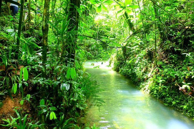 Customized Suva day tour - Who will get the most from this Suva outing?