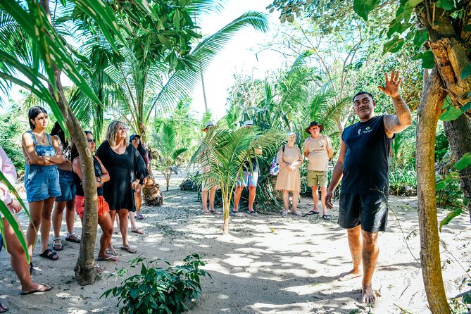 Day and Night Combo Tour - Snorkeling and kayaking: keep expectations modest