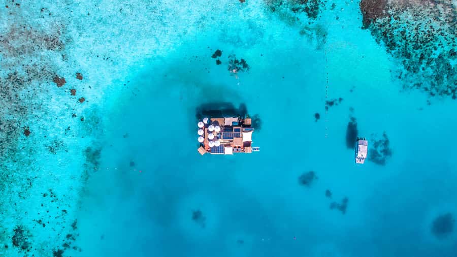 Denarau: Seventh Heaven Floating Bar Day Trip - Swimming, snorkeling, and the included kayak