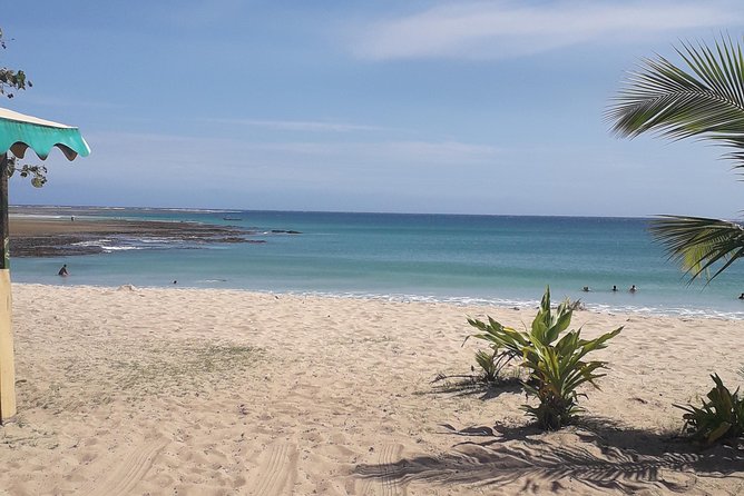 Discover Coral Coast & Natadola Beach Tour - Sigatoka’s fruit and vegetable market
