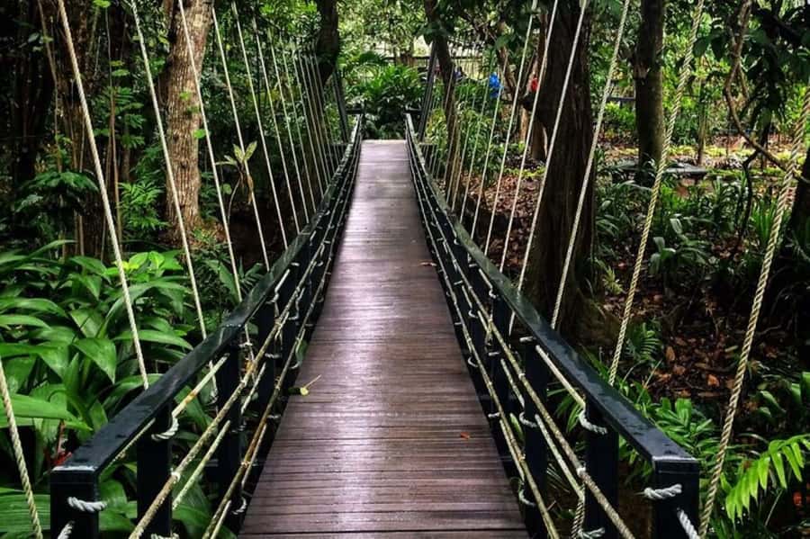Discover Fijian Culture and Reptiles - How the day feels from the road