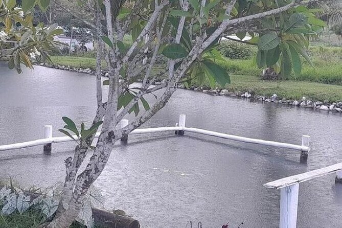Discover Mud pool/Hot -Spring Nadi - What happens on the drive from Lautoka