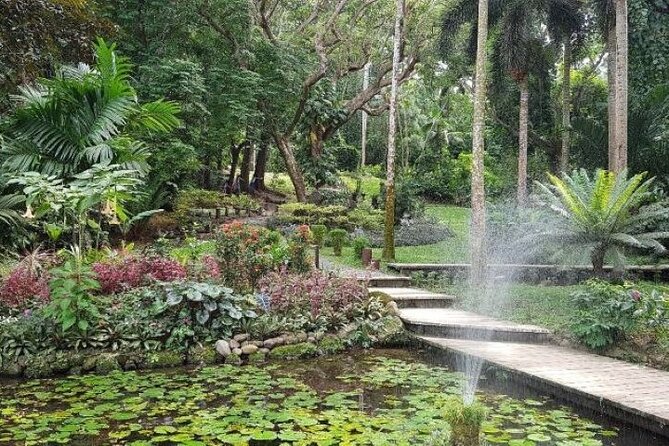 Discover Mud pool/Hot -Spring Nadi - Adding the Garden of the Sleeping Giant