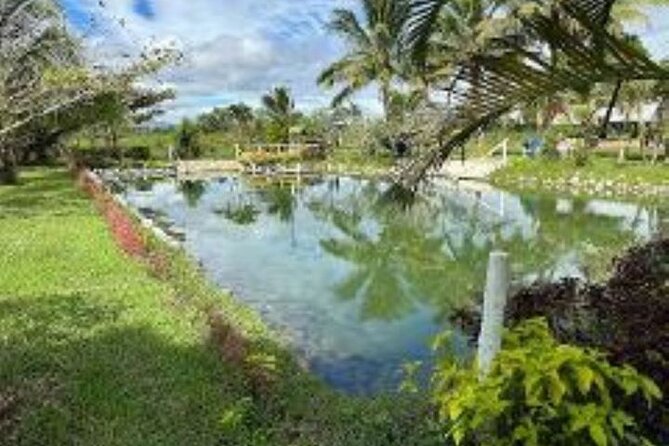 Discover Mud pool/Hot -Spring Nadi - What the $46.57 price really covers