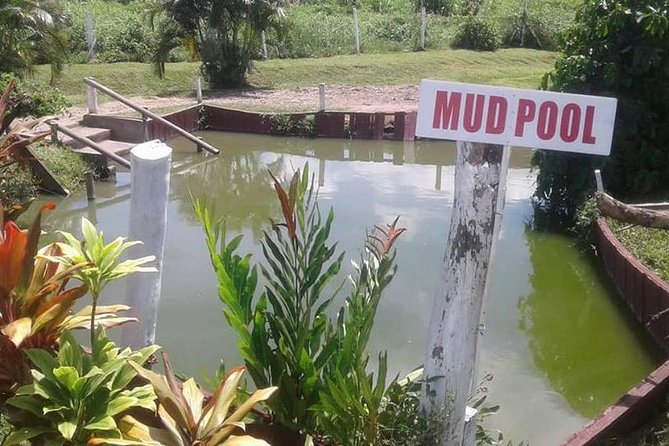 Discover Nadi Tour - Sabeto Mud Pool and Hot Springs: the messy finale