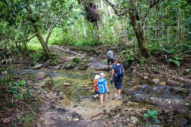 Fiji Adventure: Biausevu Waterfall & Dunes hiking Combo Tour! - Sigatoka Sand Dunes National Park: the tougher walk
