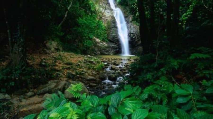 Fiji Biausevu waterfall & Village Tour - Optional horseback riding through the forest