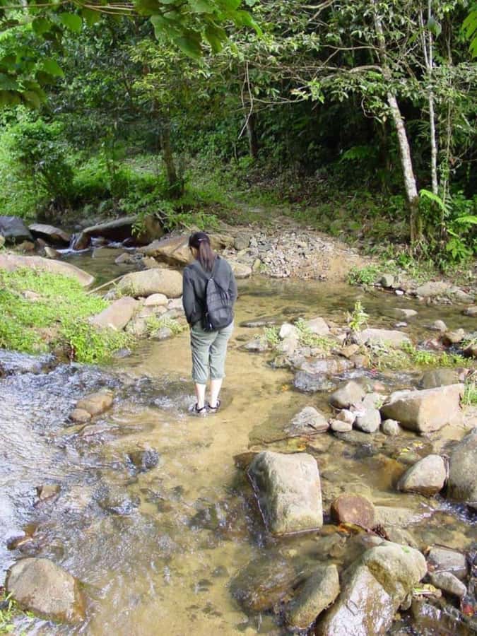 Fiji Biausevu waterfall & Village Tour - Is $119 a fair price?