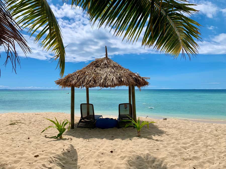 Fiji: Captain Cook Cruises - Island & Reef Day Trip - Snorkeling with marine biologists