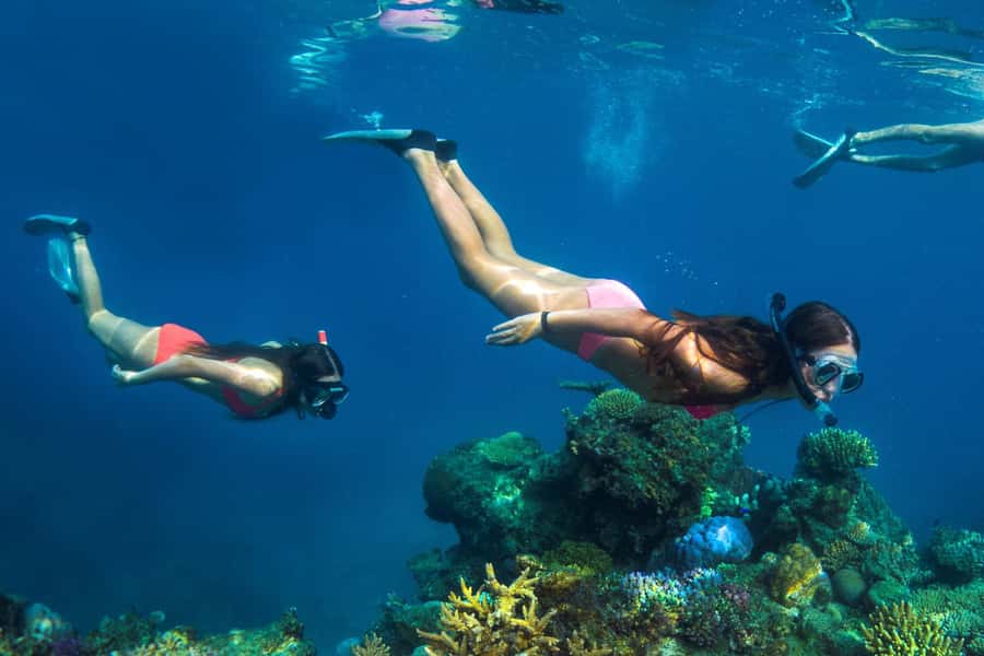 Fiji: Captain Cook Cruises - Island & Reef Day Trip - Final call: a strong all-round Fiji day