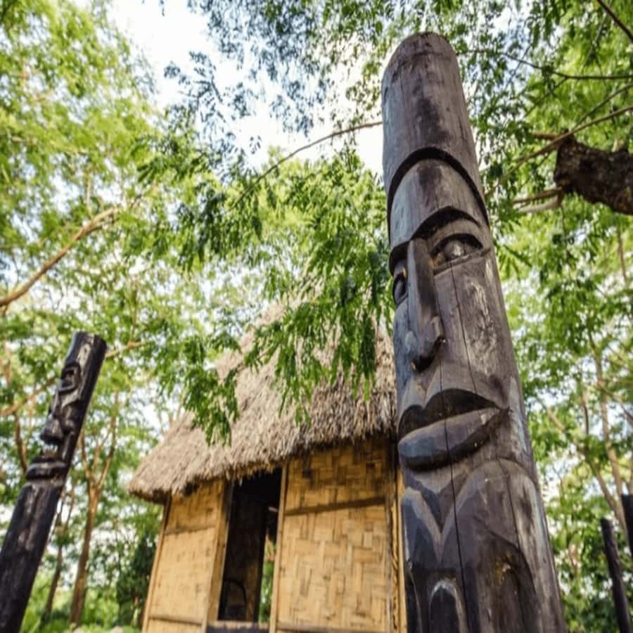 Fiji: Cultural Village Evening Tour with Dinner and Show - Walking through the temple and chief’s house