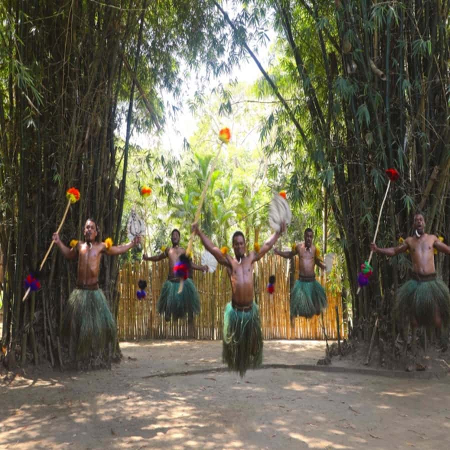 Fiji: Cultural Village Evening Tour with Dinner and Show - How the underground lovo dinner works