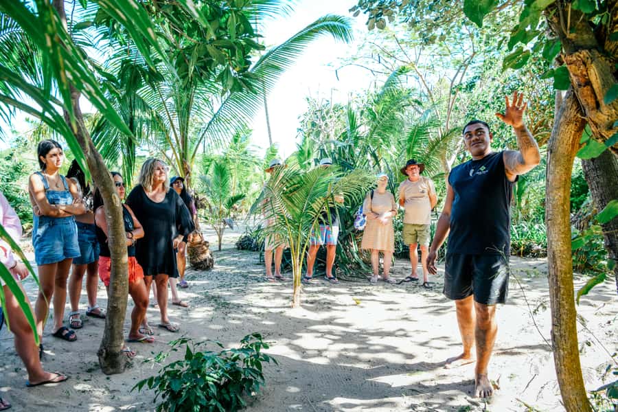 Fiji: Day and Night Combo Tour - Who should book this Fiji combo tour?