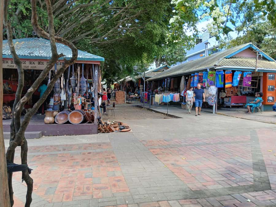 Fiji: Discover Nadi with Sabeto Hotspring and Mudpool Tour - Why this tour works as a first look at Nadi