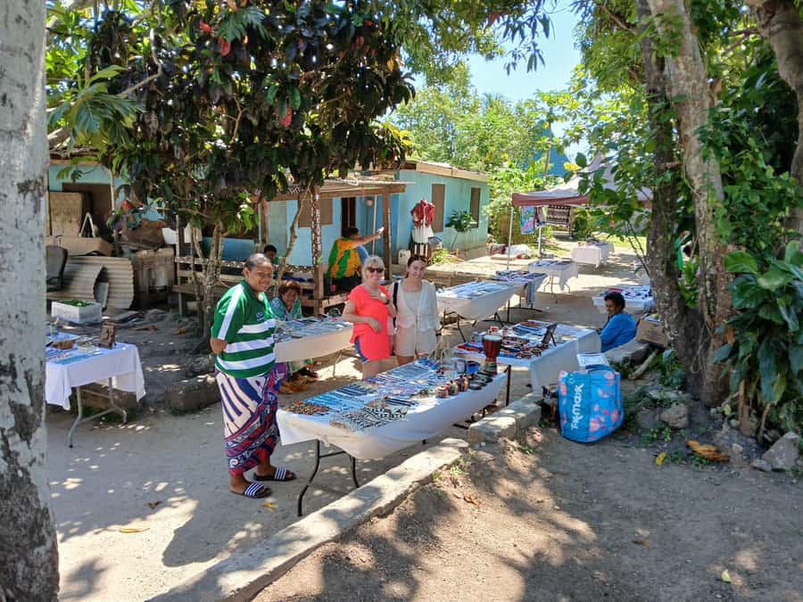 Fiji: Discover Nadi with Sabeto Hotspring and Mudpool Tour - Viseisei village and the limits of a short visit