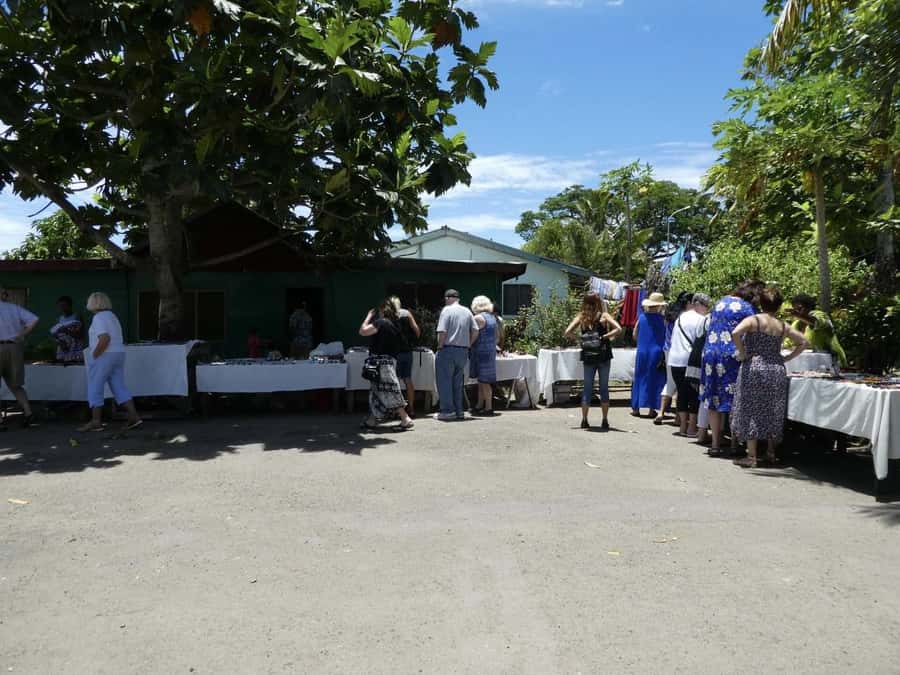 Fiji: Discover Nadi with Sabeto Hotspring and Mudpool Tour - Who will enjoy this Nadi outing