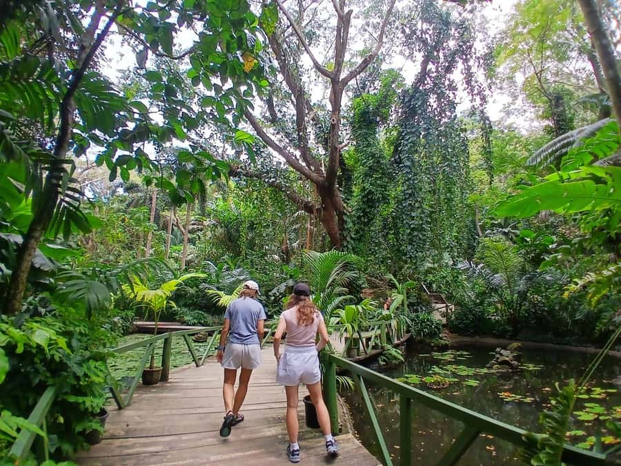 FIJI: Garden of the Sleeping Giant Tour - A garden built around Raymond Burr’s orchids