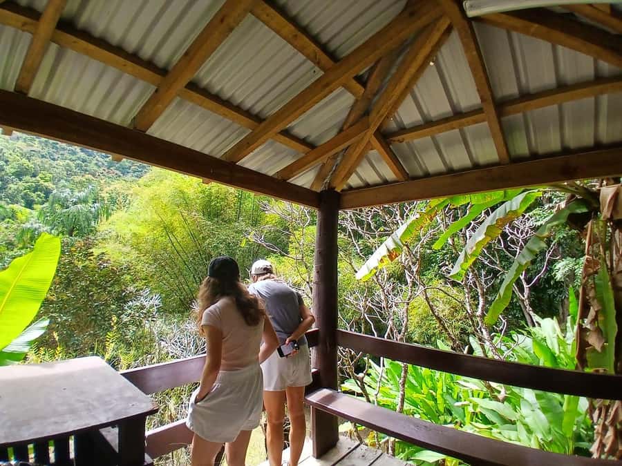 FIJI: Garden of the Sleeping Giant Tour - The drive through Sabeto Valley