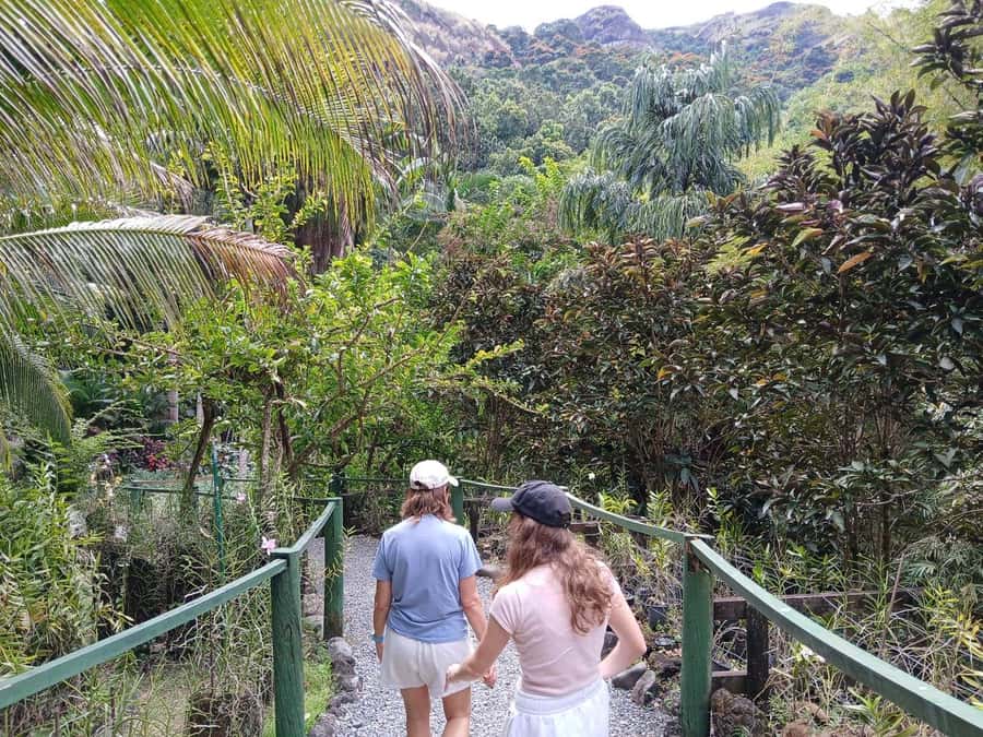 FIJI: Garden of the Sleeping Giant Tour - Timing your visit around Nadi traffic