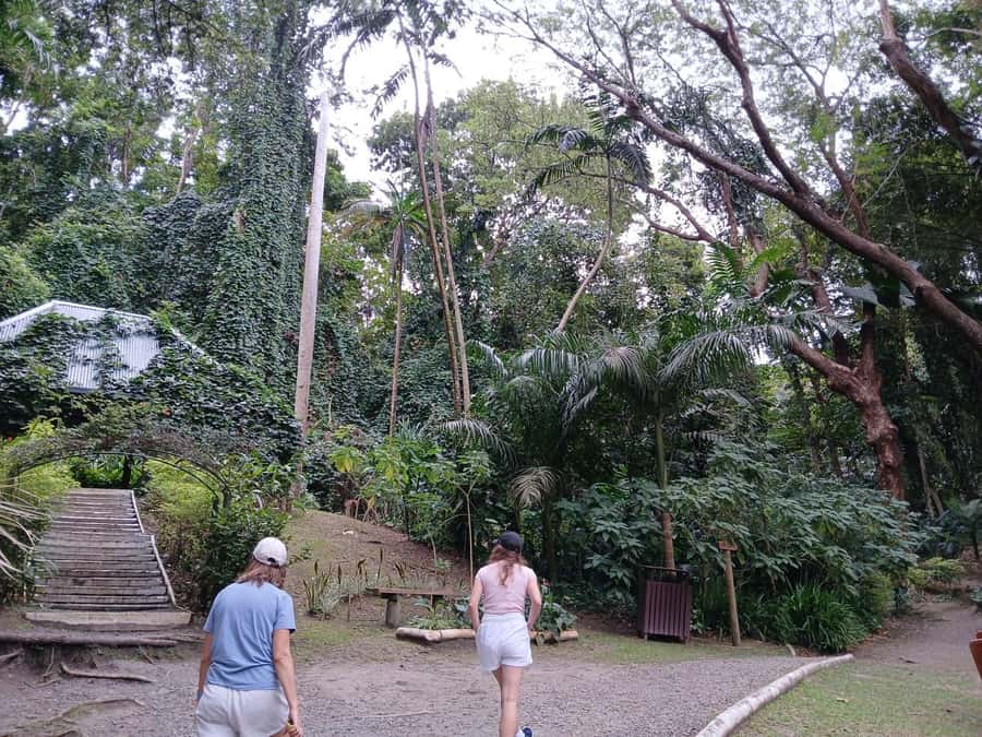 FIJI: Garden of the Sleeping Giant Tour - What $45 really gets you