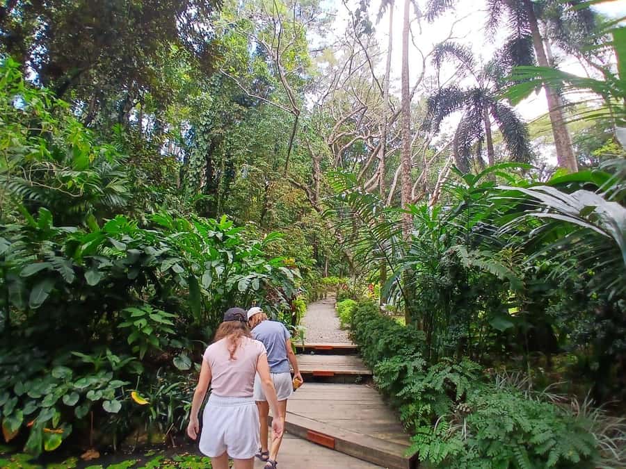 FIJI: Garden of the Sleeping Giant Tour - Practical preparation for the paths
