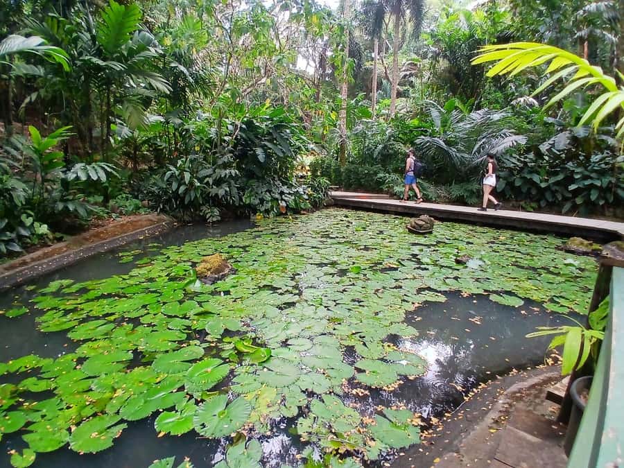 FIJI: Garden of the Sleeping Giant Tour - Who will enjoy this garden most