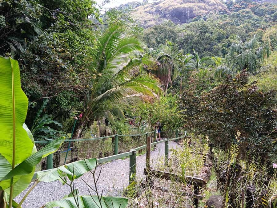 FIJI: Garden of the Sleeping Giant Tour - Should you book the Garden of the Sleeping Giant?