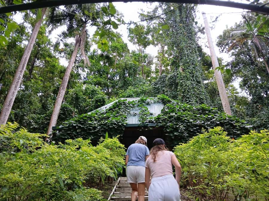 FIJI: Garden of the Sleeping Giant Tour - Walking the orchid garden