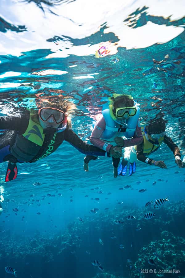 Fiji: Kuata Island Marine Conservation Experience Full Day - Who Will Enjoy Kuata Island Most?