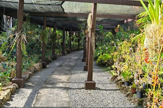 Fiji Lautoka Shore Excursions Tour - A slow lunch at the Boat Shed Restaurant